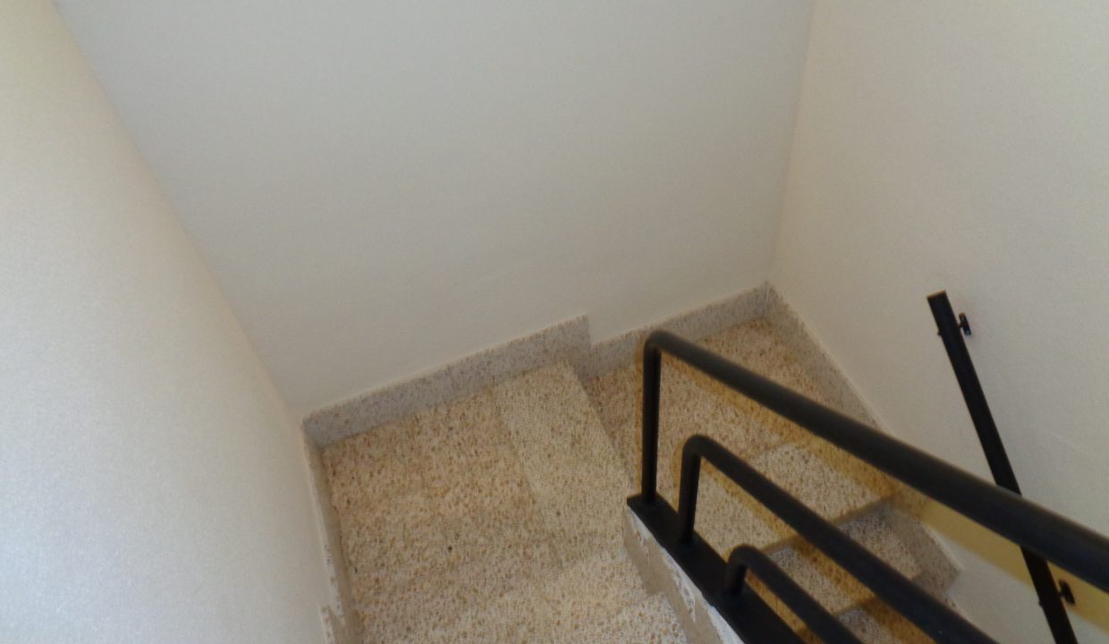DSC00022