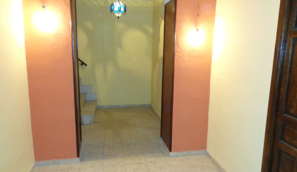 DSC00820