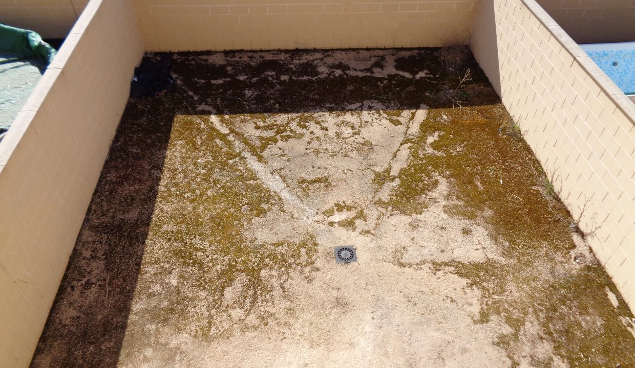 DSC00875
