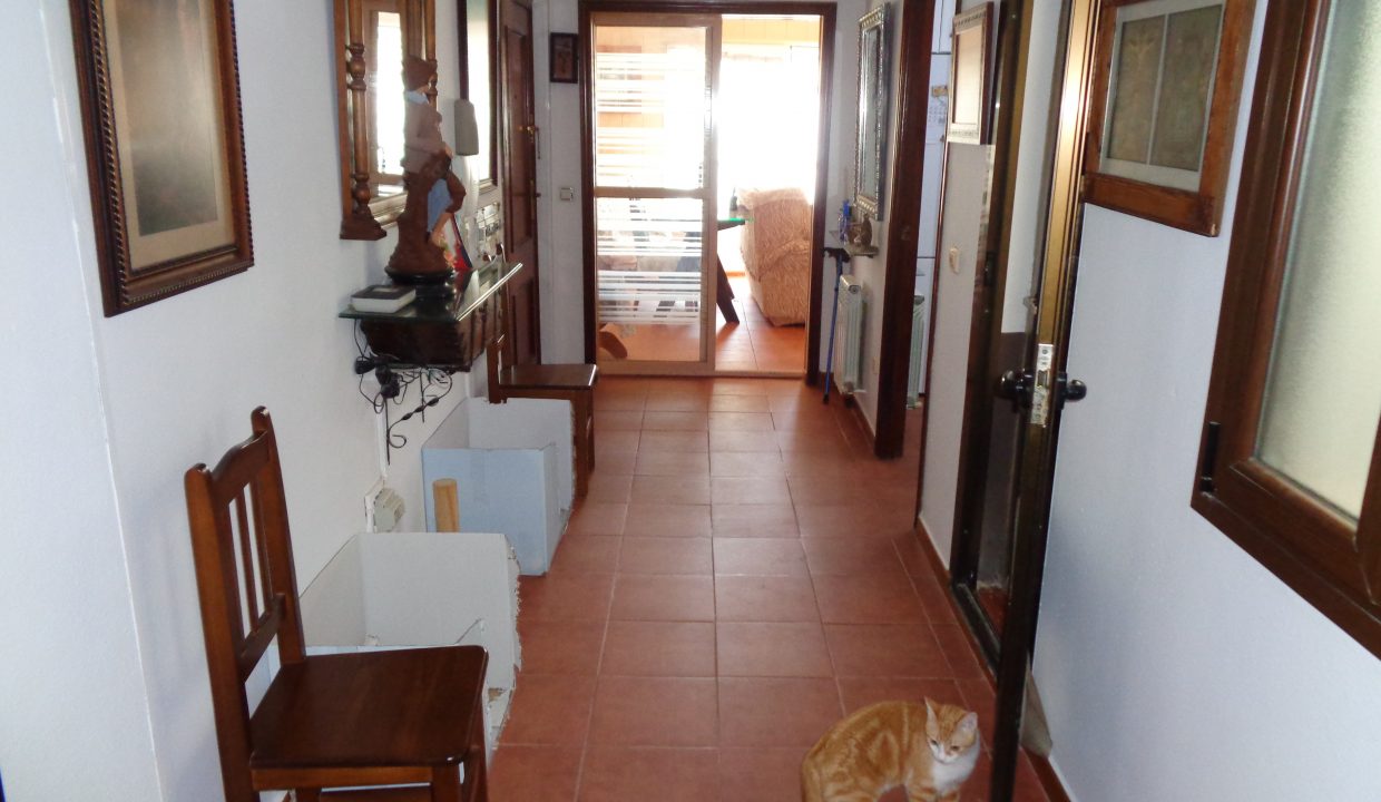 DSC00925