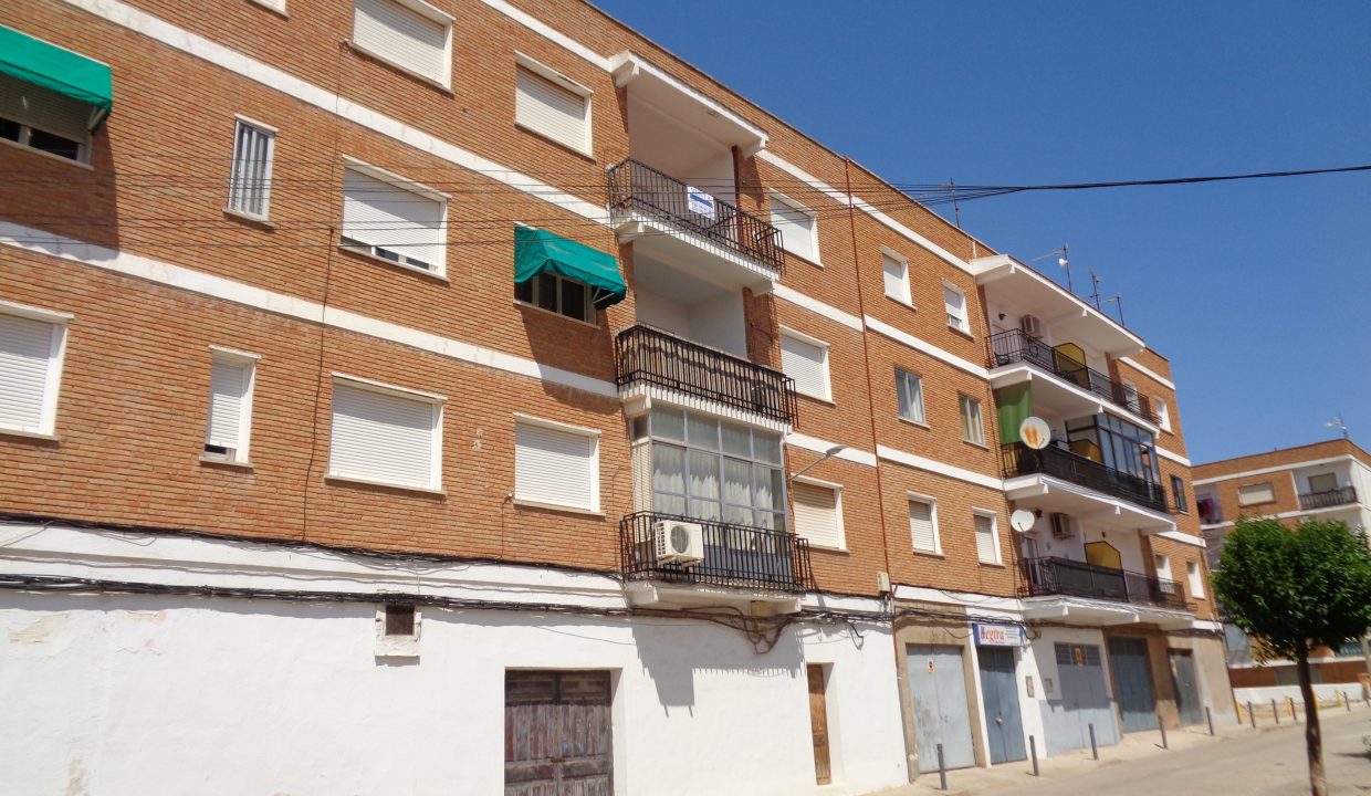 DSC01100