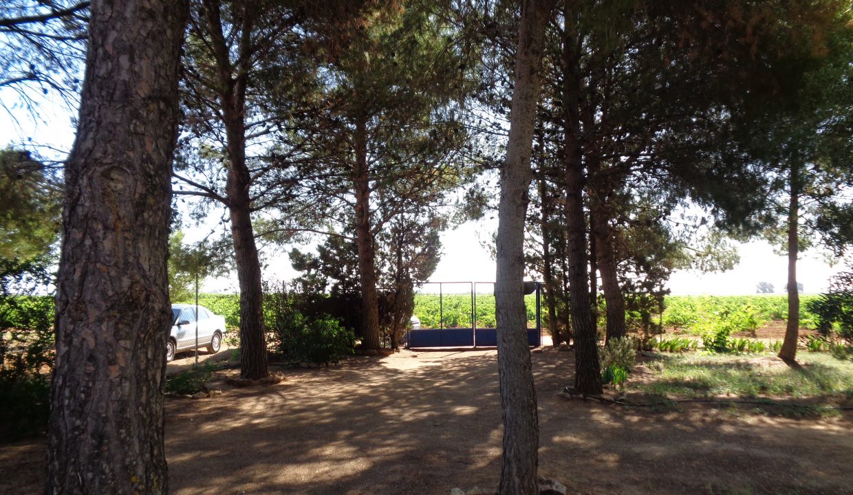 DSC01136