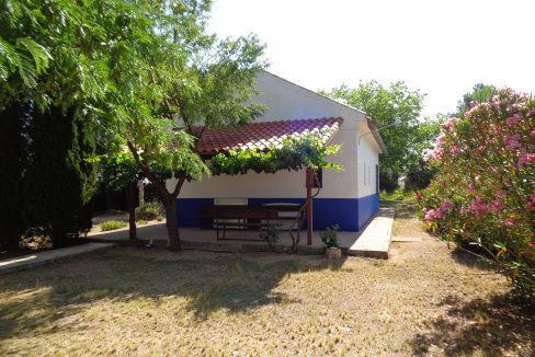 DSC01151