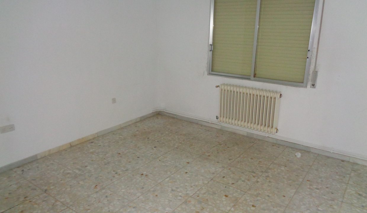 DSC02233