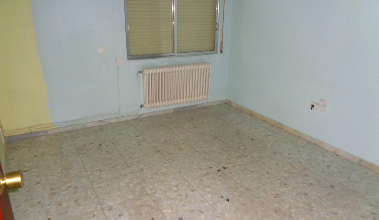 DSC02234