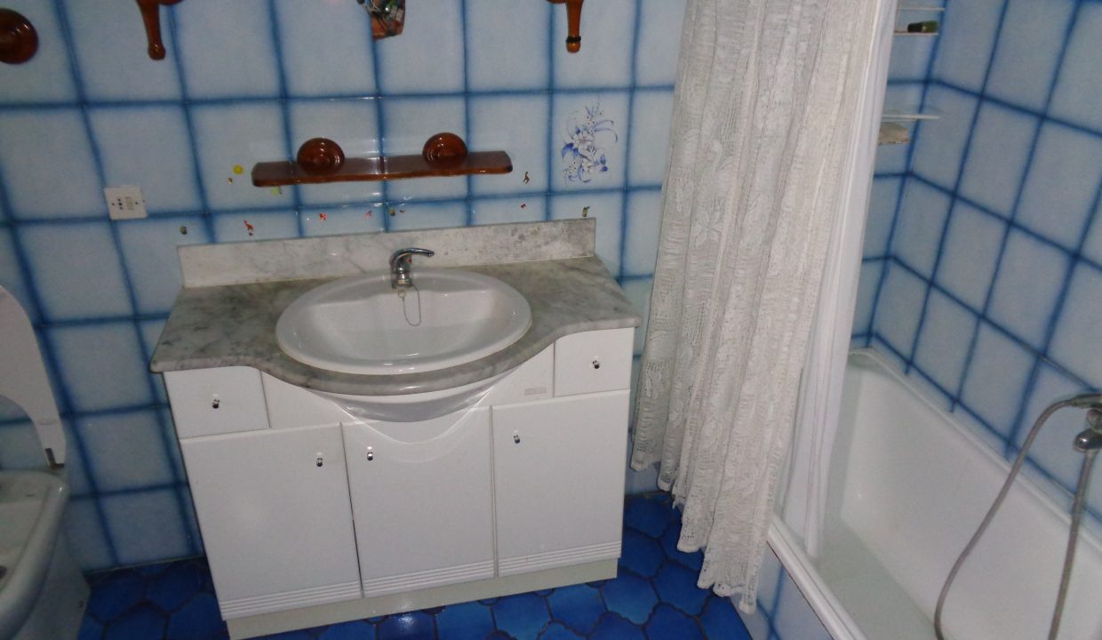 DSC02237