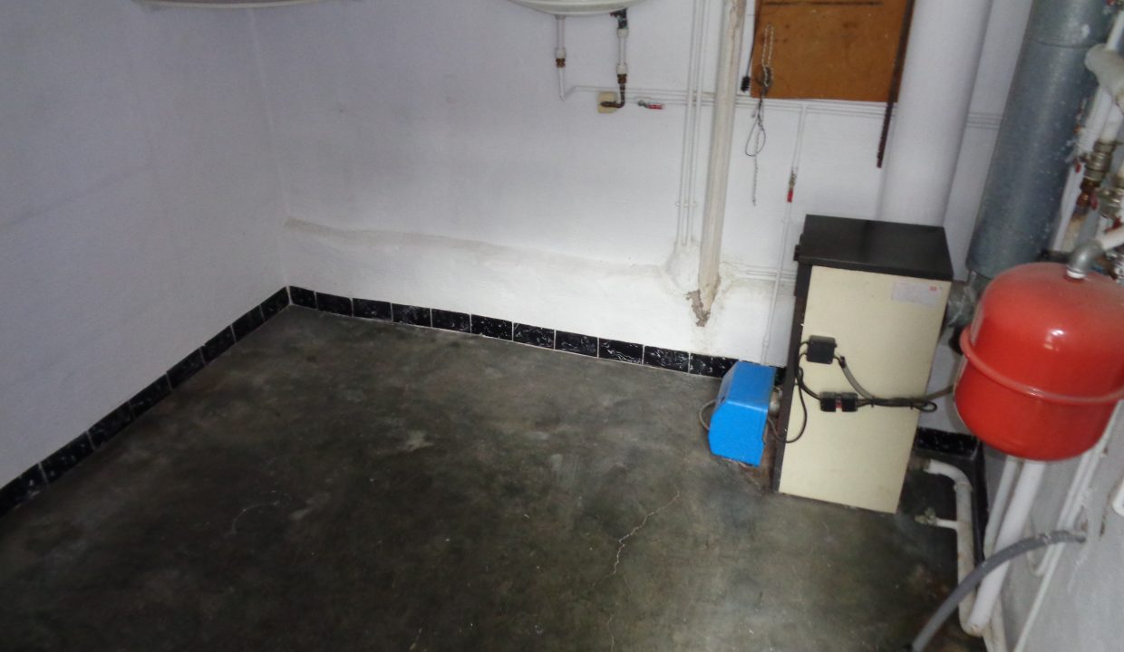 DSC02239