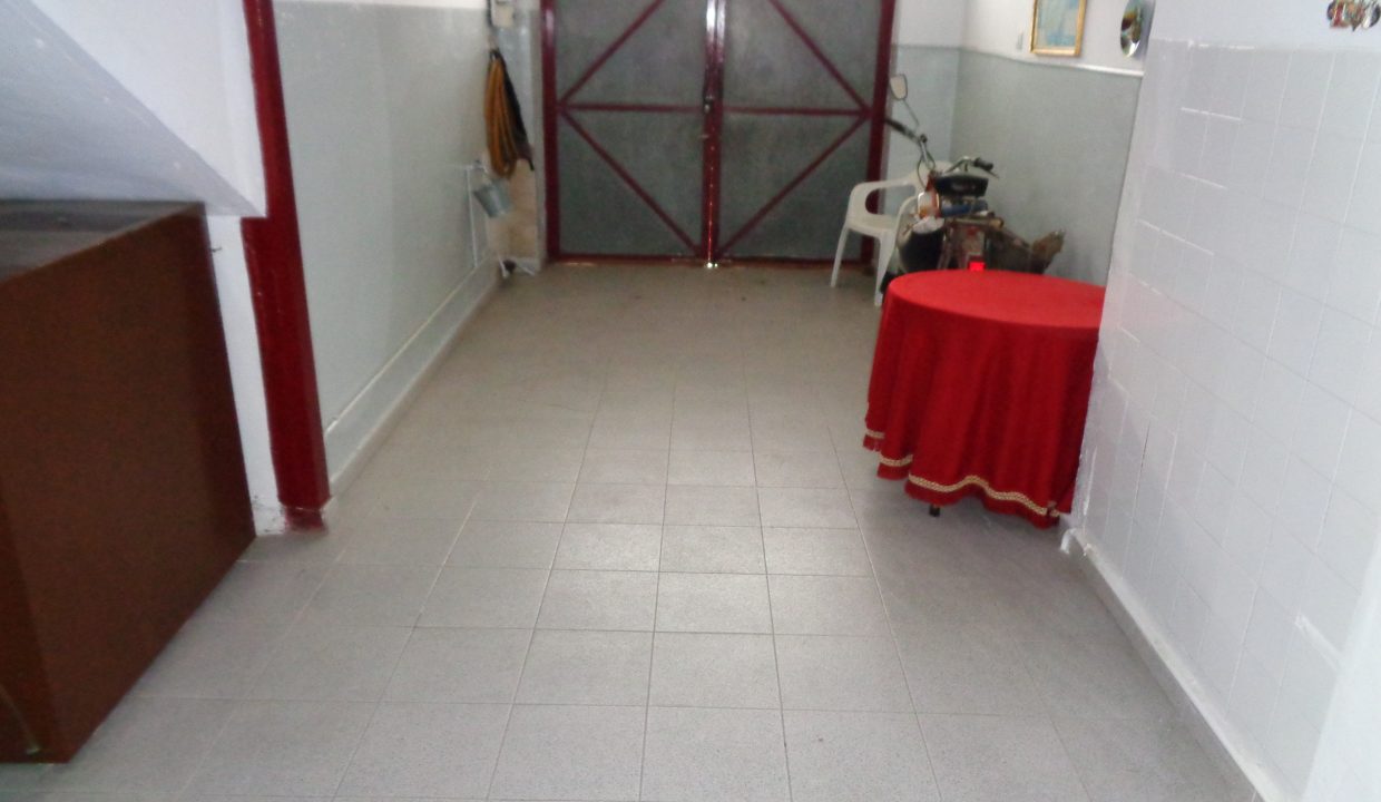 DSC02240