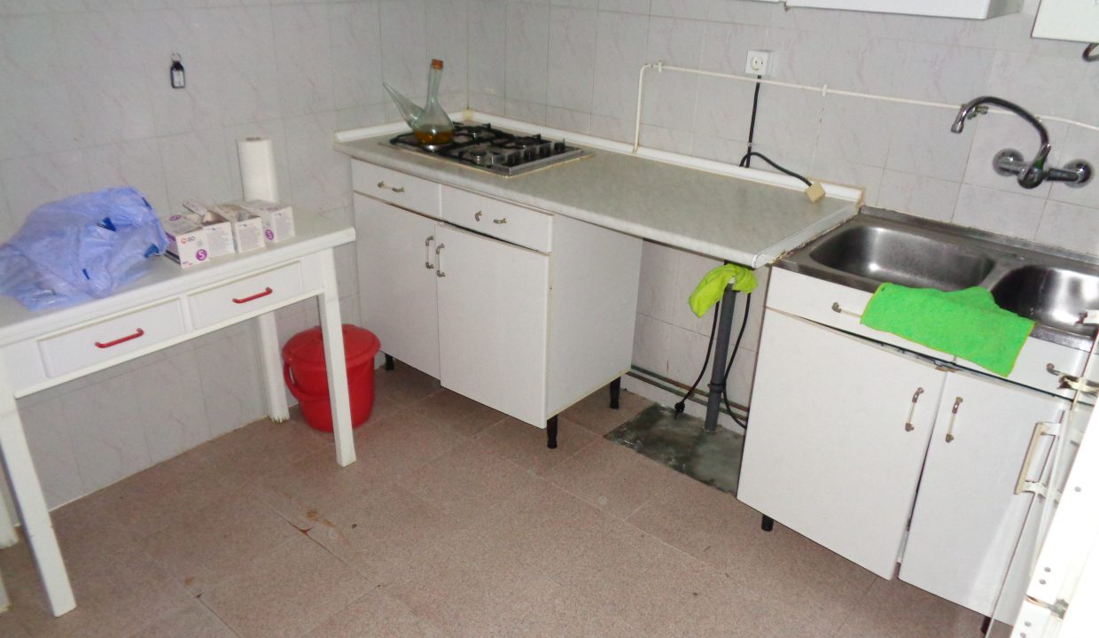 DSC02241