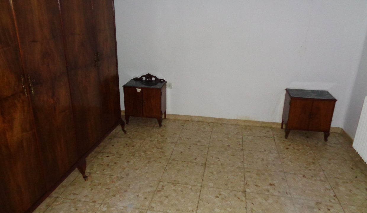 DSC02245