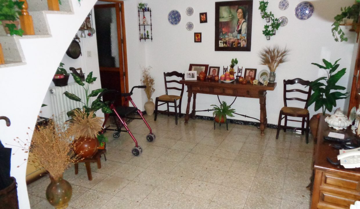 DSC02251