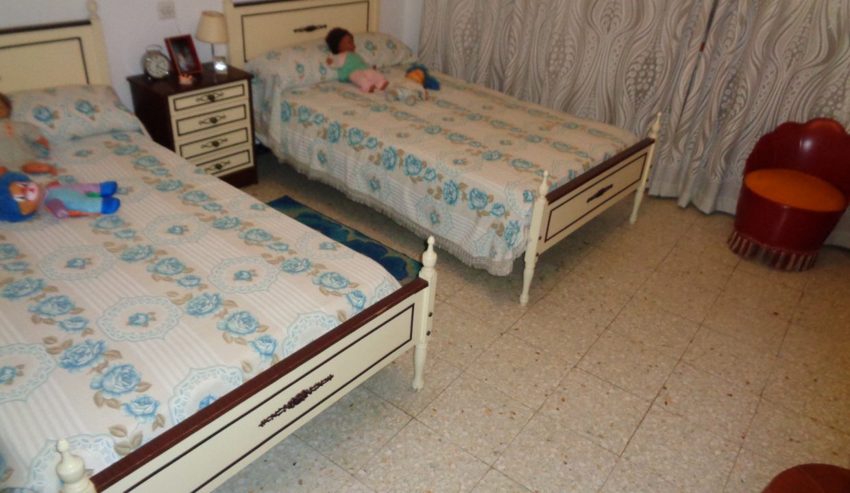 DSC02260
