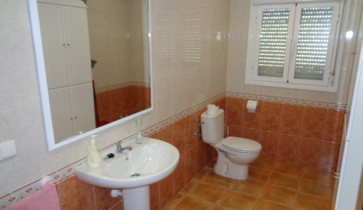 DSC02376
