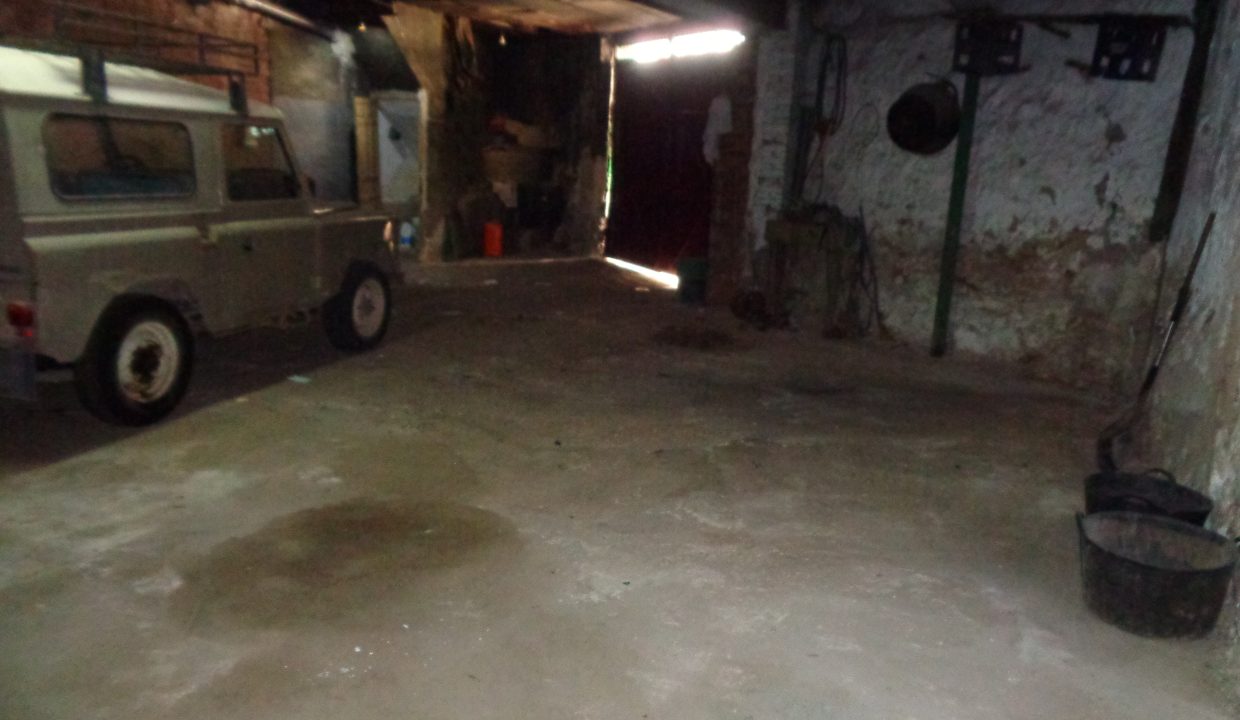 DSC02397