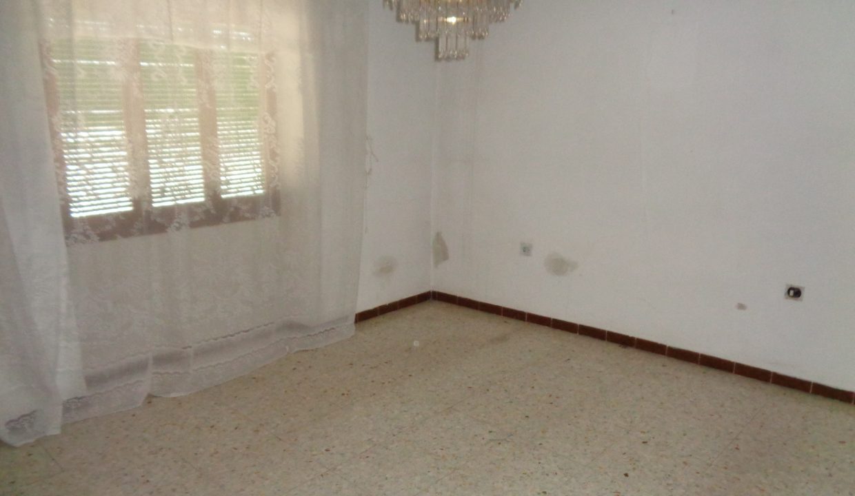 DSC02399