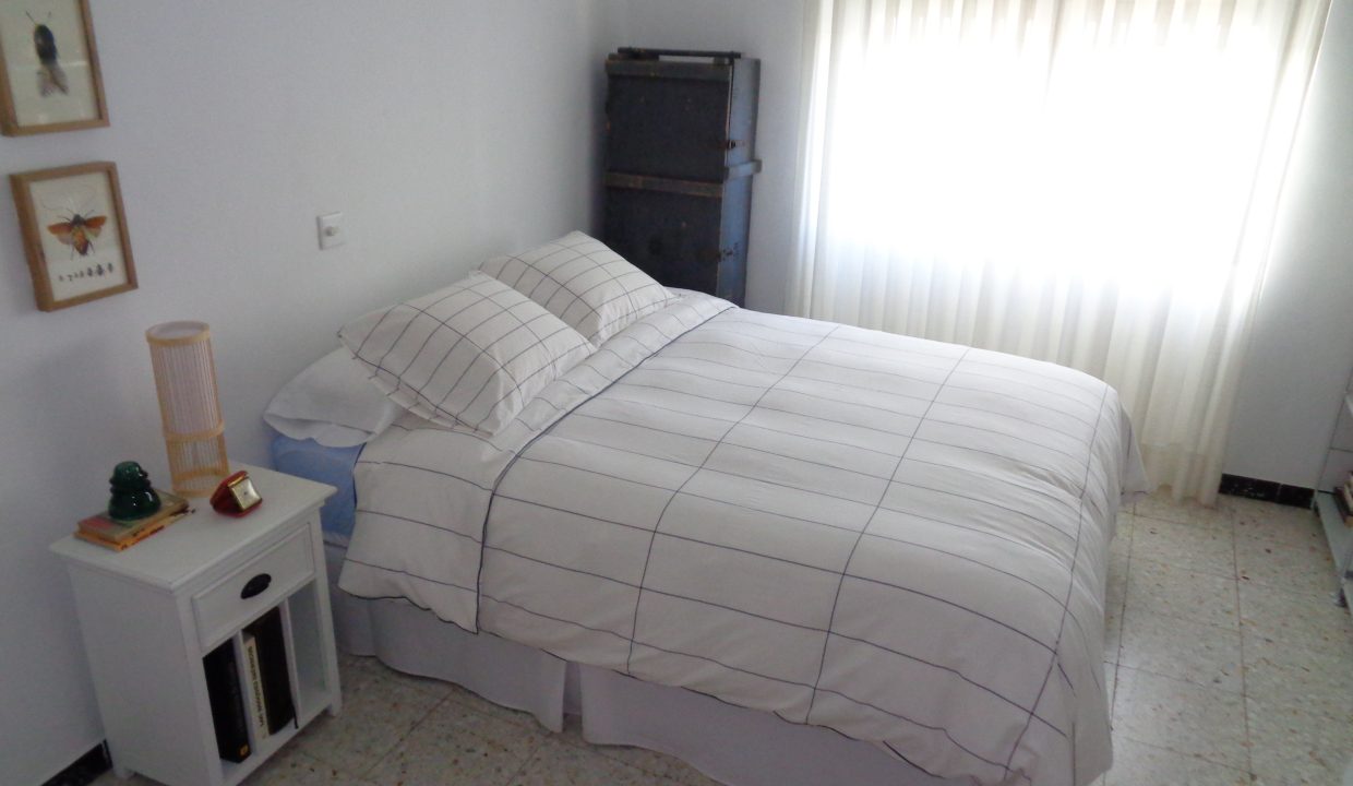 DSC02494