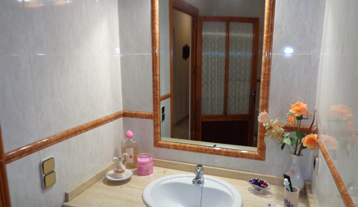 DSC02500