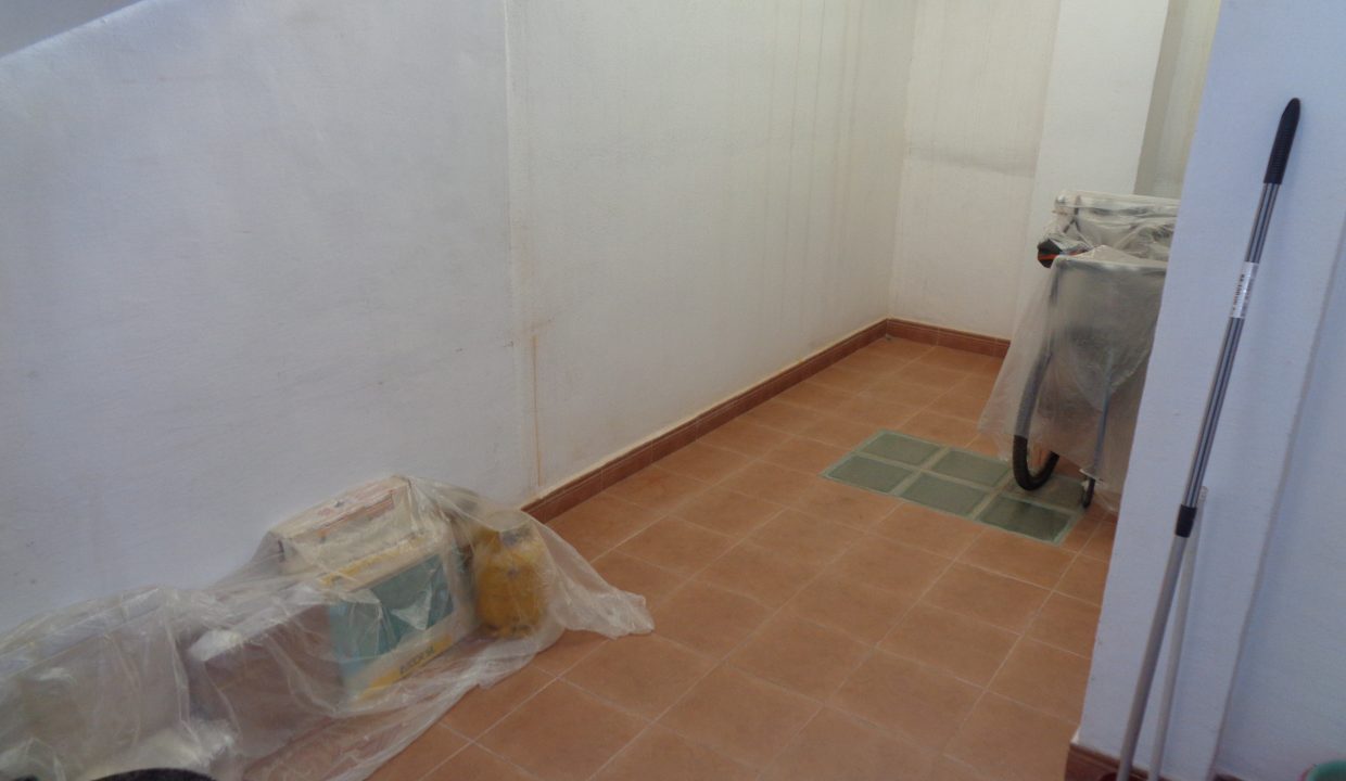 DSC02501