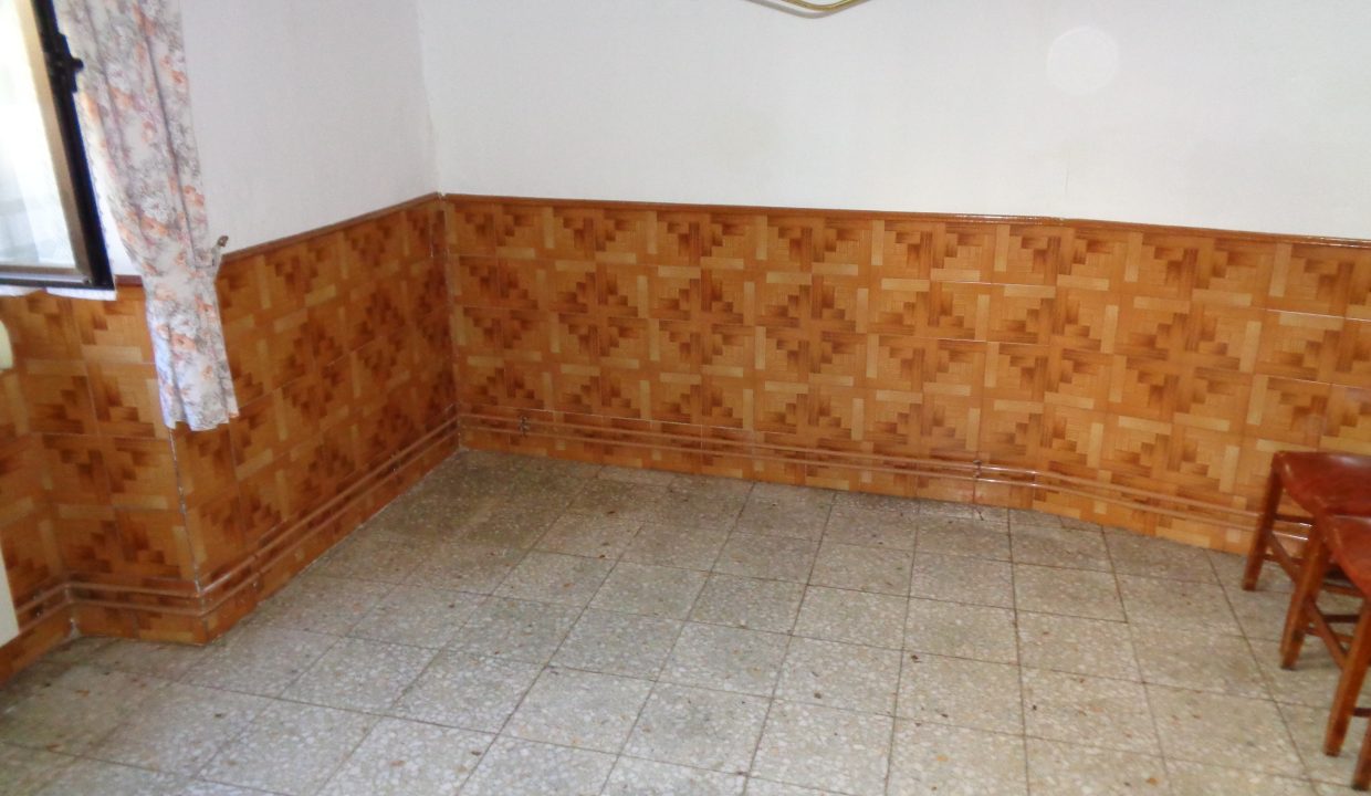 DSC02559