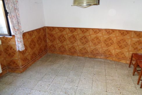 DSC02559