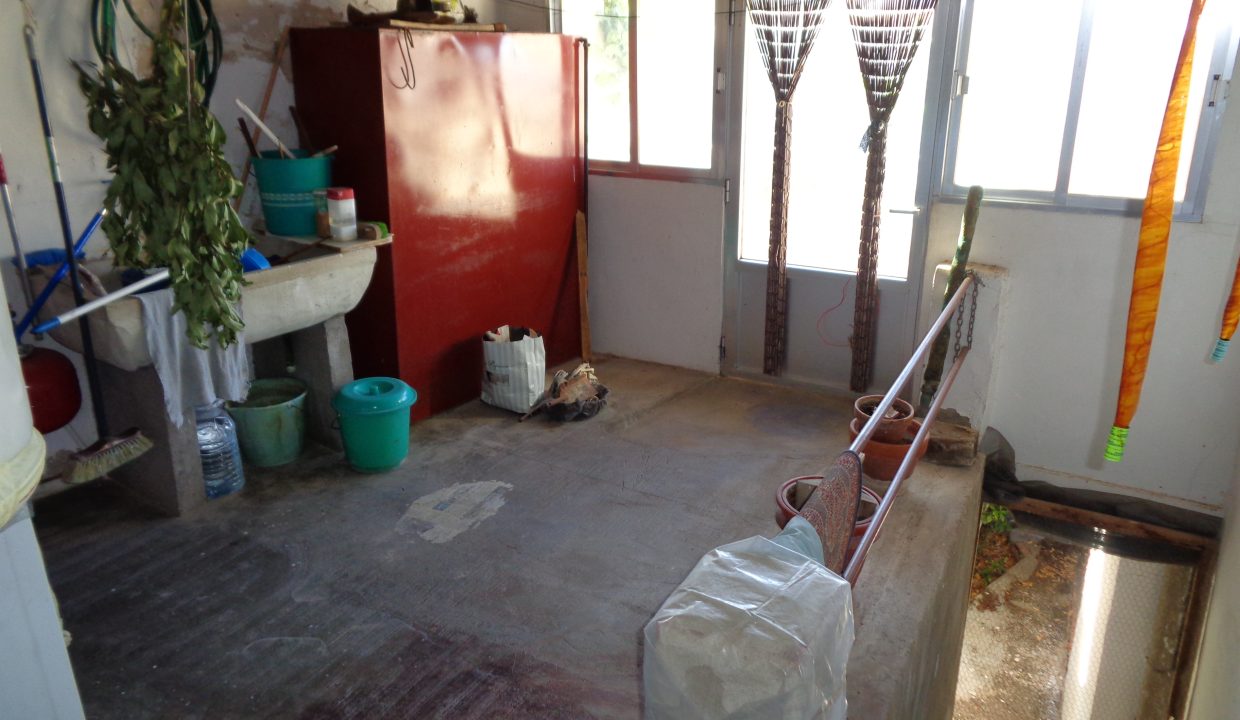DSC02566