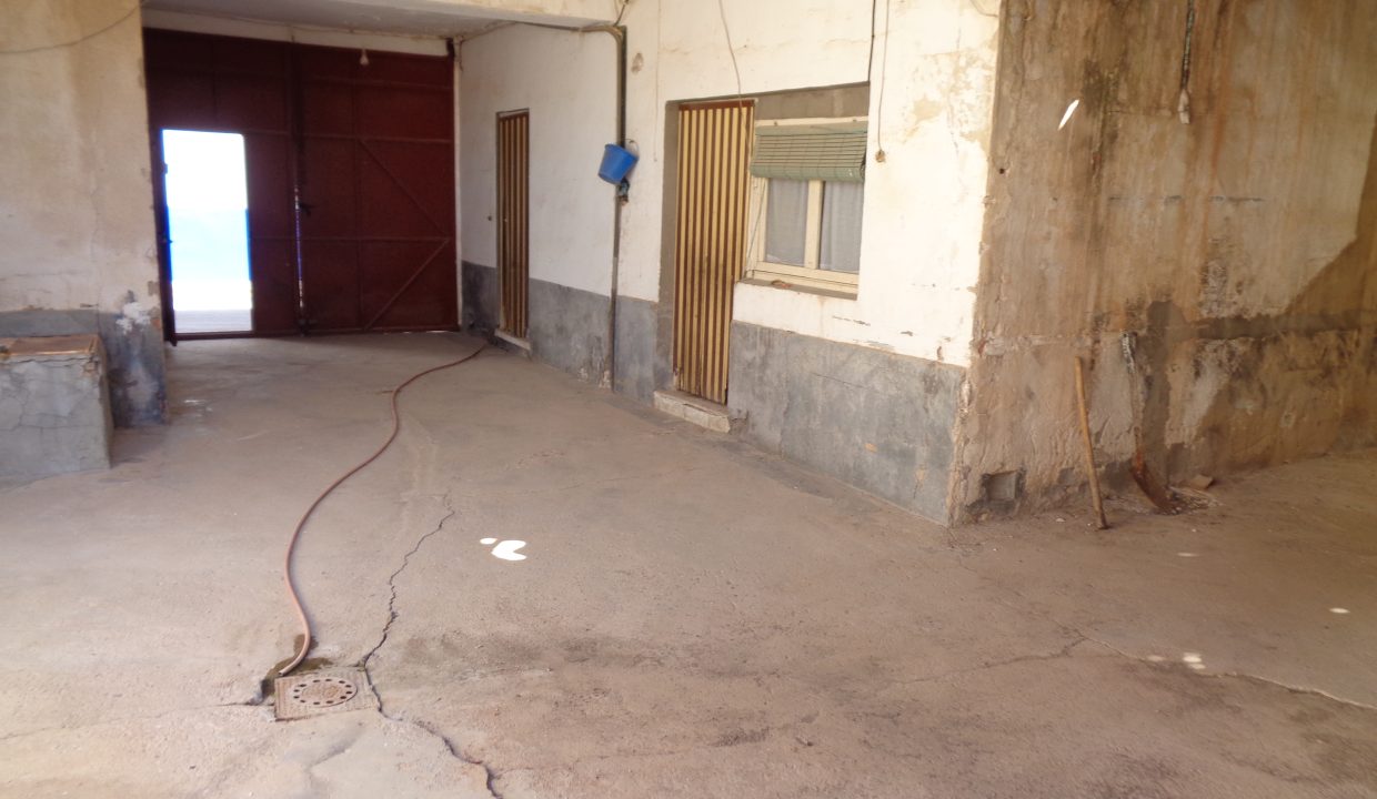 DSC02676