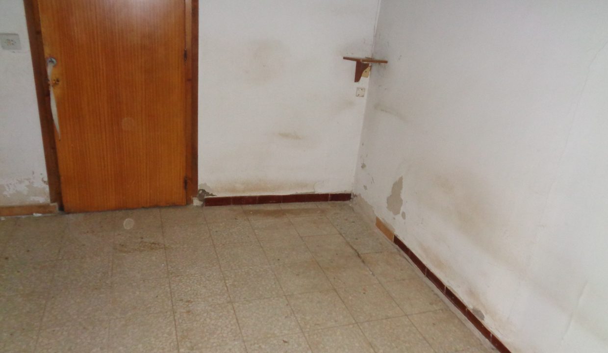 DSC02677