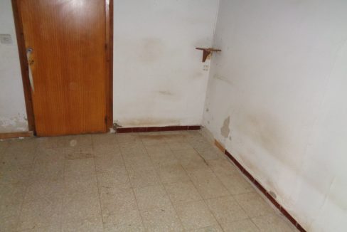 DSC02677