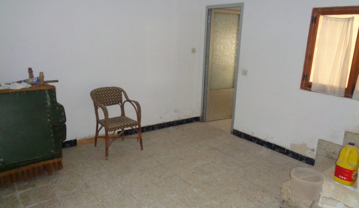 DSC02678