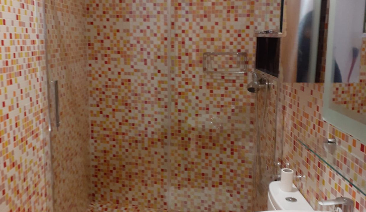 b9c1e69c-3136-48fc-a65a-8e663294246c